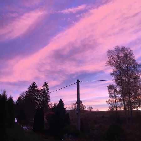 Penzion Kunvald Konciny Bagian luar foto