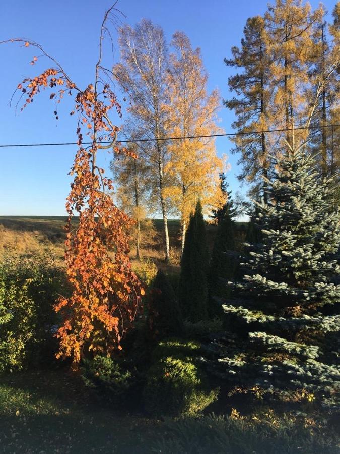 Penzion Kunvald Konciny Bagian luar foto